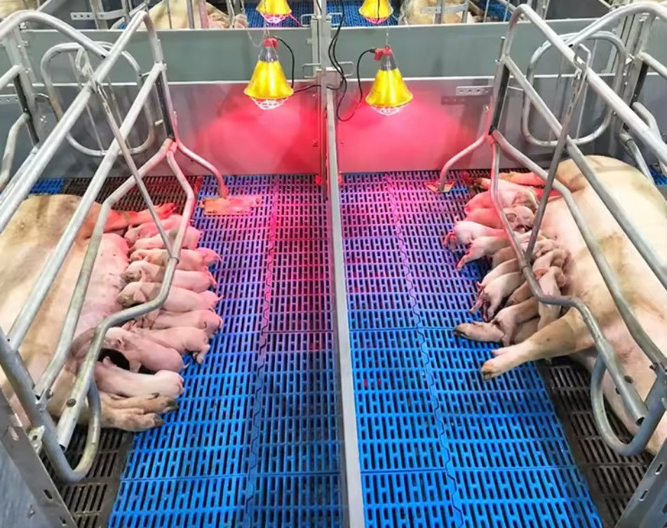 고강도 유리섬유 바닥 Grating 돼지 닭 양을 위한 FRP 폼드 그레이팅